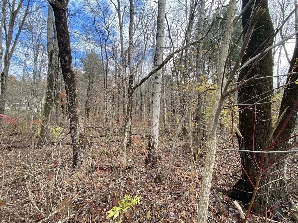 Photo of Lot 3 Washington Rd
