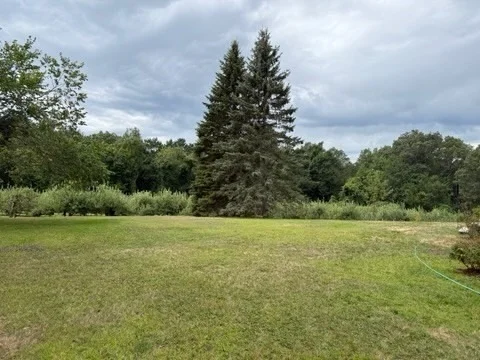 Photo of 37 Chamberlain Rd