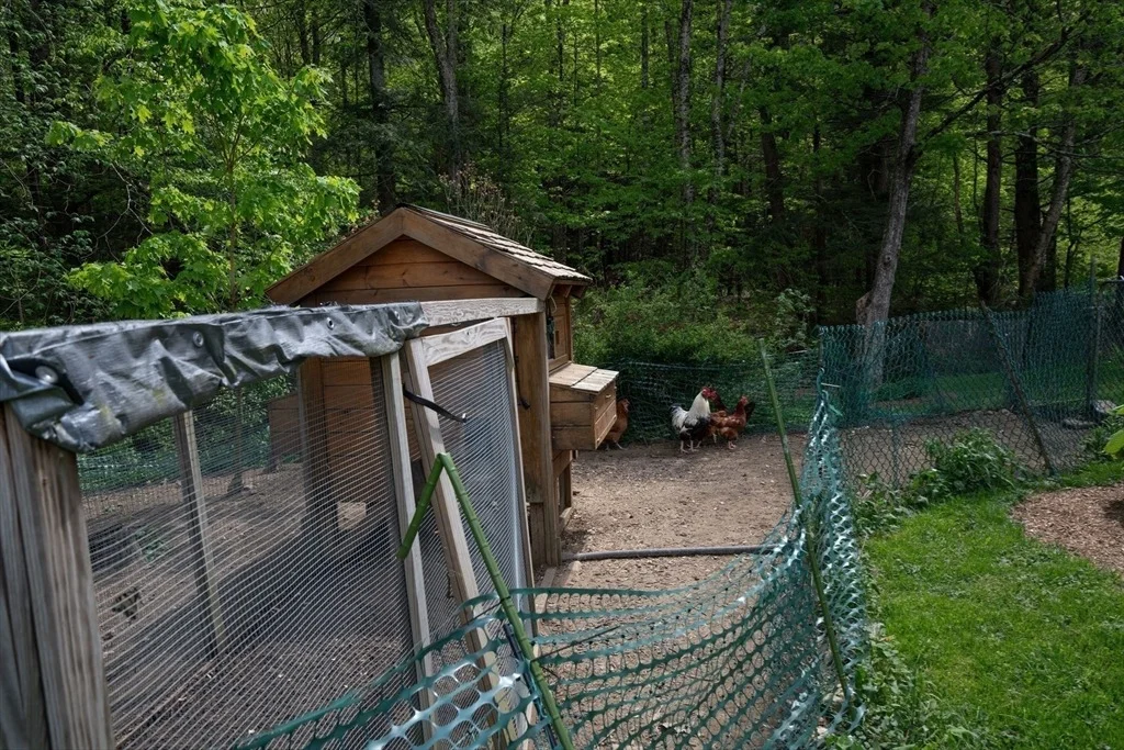 Photo of 425 Dingle Rd