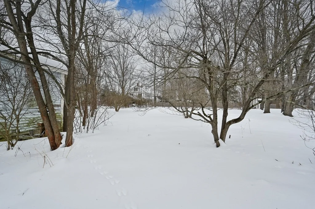 Photo of 235 Arlington St