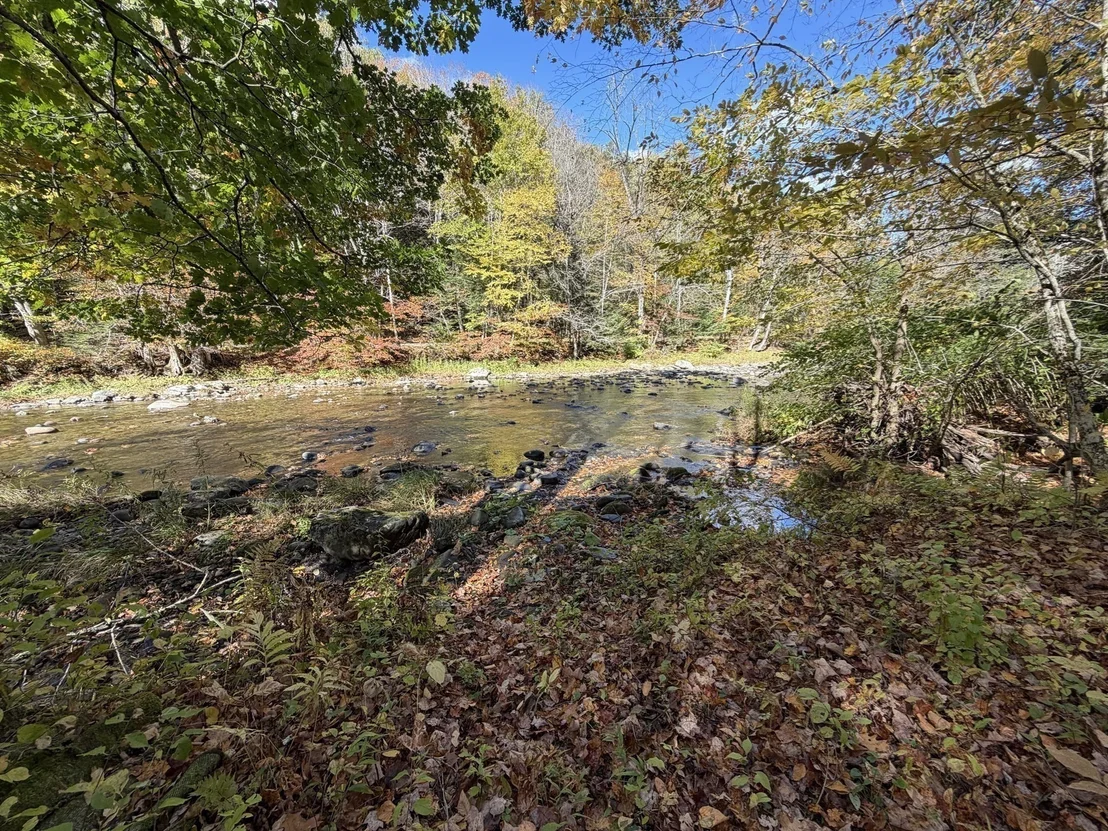 Photo of 232 River Rd