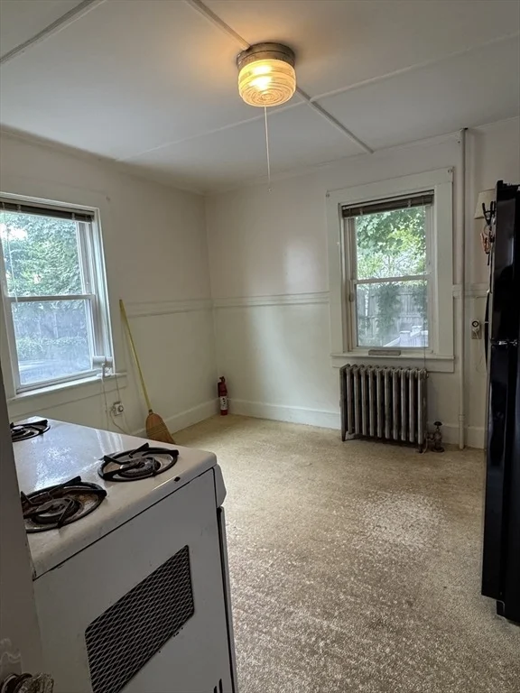 Photo of 14 Atkinson St