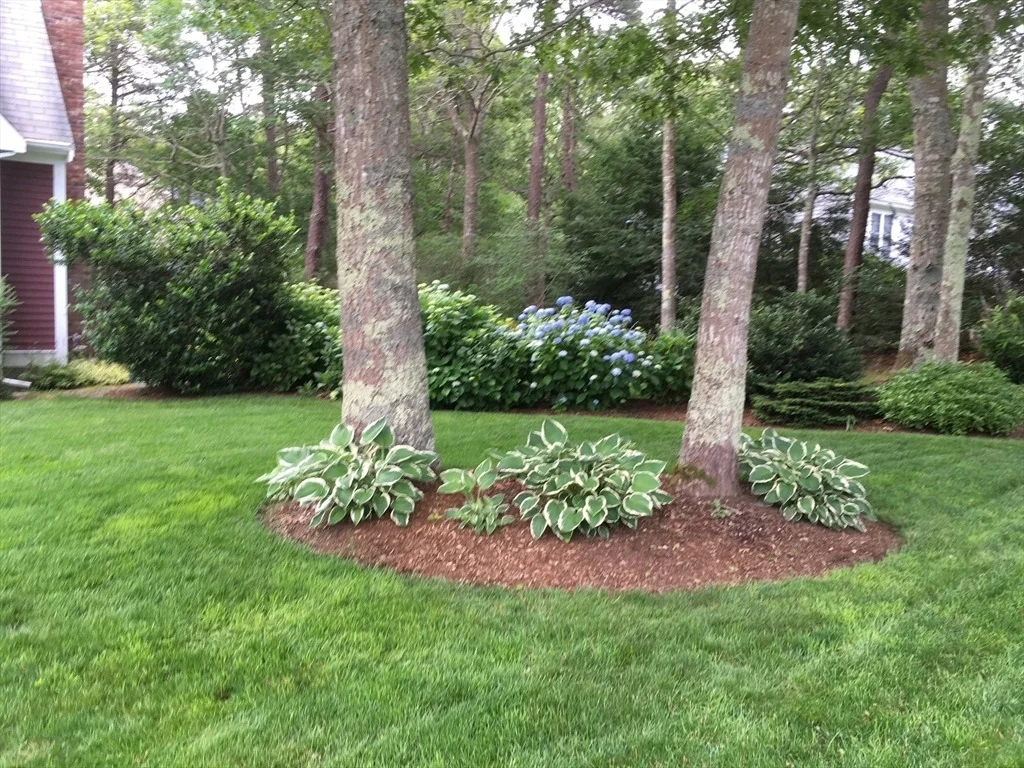 Photo of 46 Snead Drive