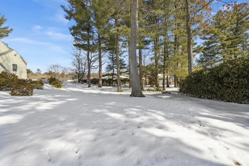 Photo of 59 Phillips Road