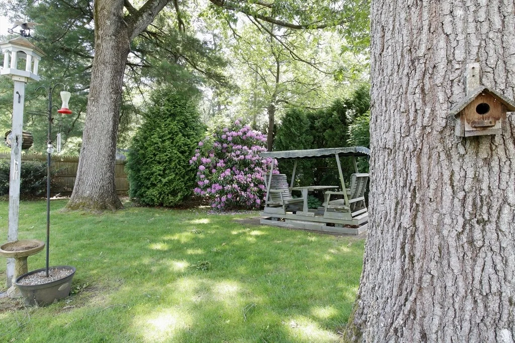 Photo of 6 Jeffrey Ln