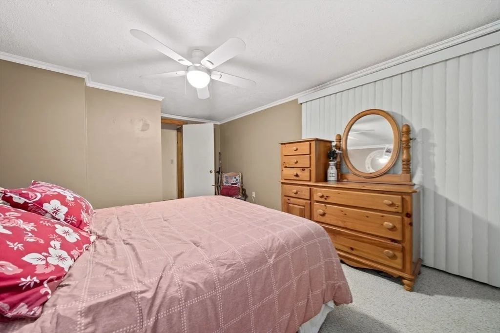 Photo of 15 Broadmarsh Ave