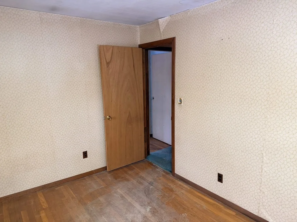 Photo of 8 Molloy Rd