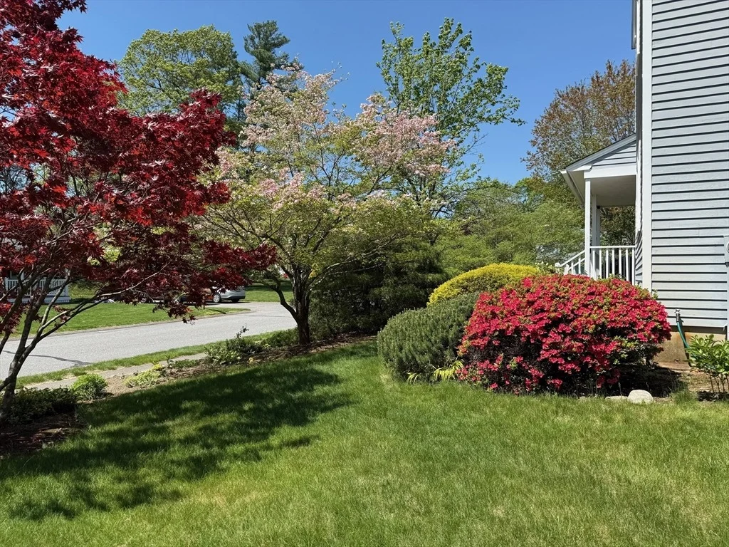Photo of 45 Elm Ridge Rd