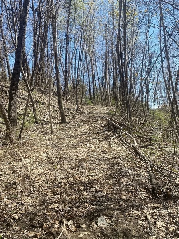 Photo of 117 Munsing Ridge