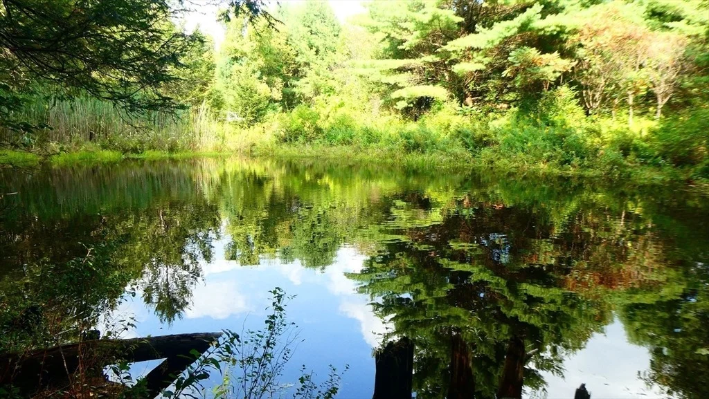 Photo of 155 River Rd