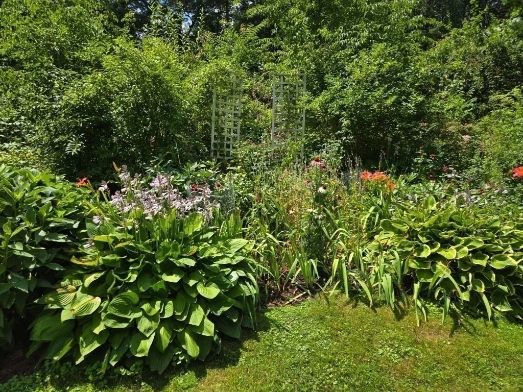 Photo of 101 Bellevue Rd