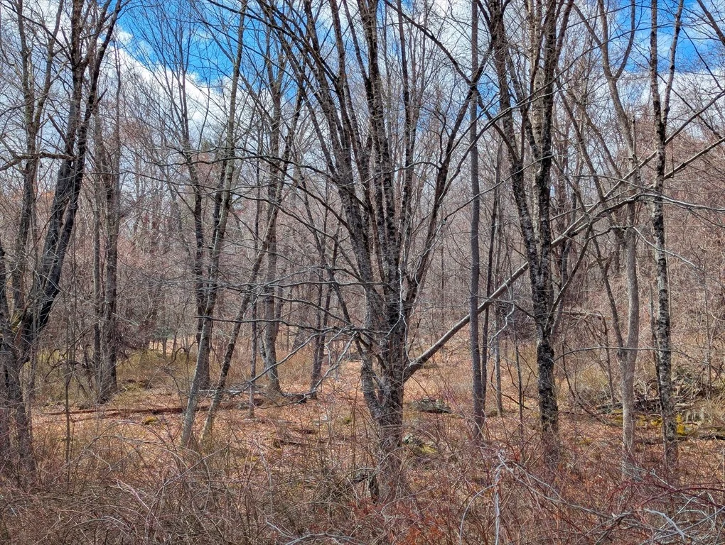 Photo of Lot 33.03 William Holmes Rd