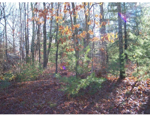 Photo of Lot 37 Harnum Way
