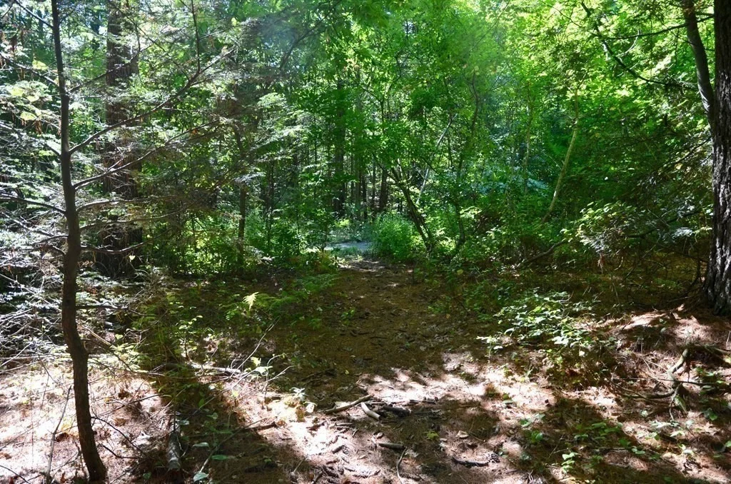 Photo of 154 Lafayette Rd
