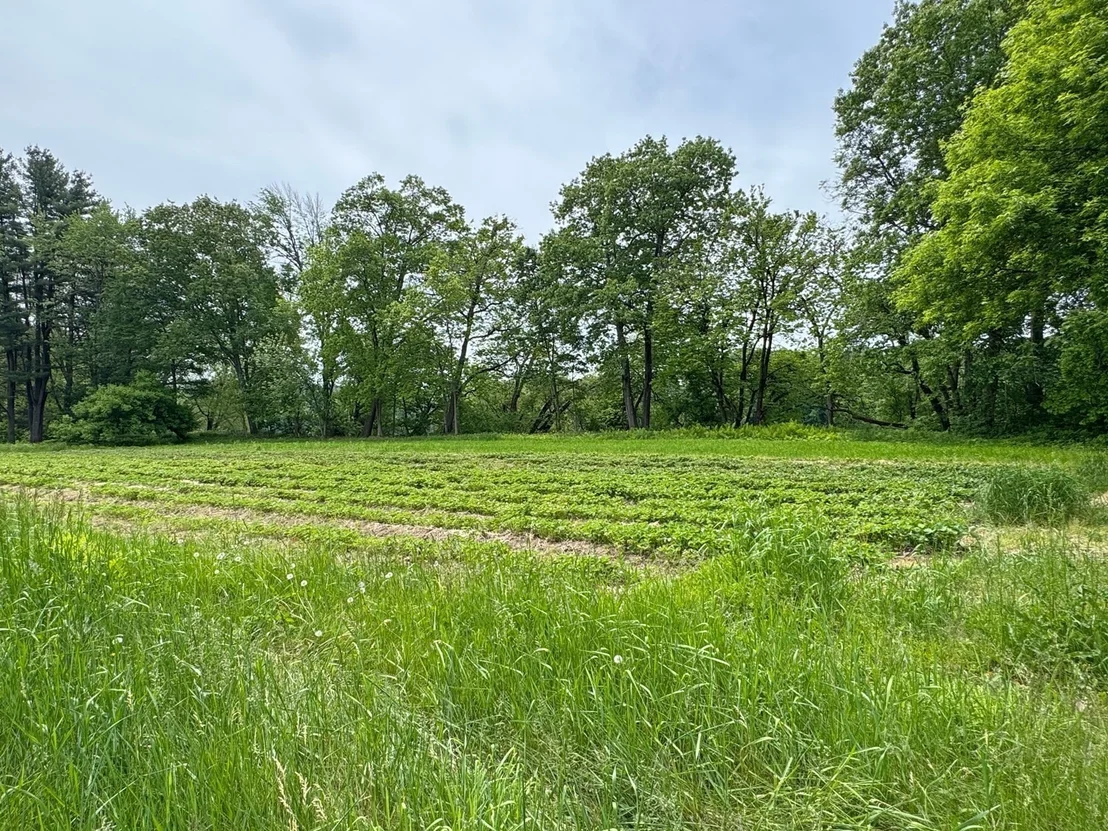 Photo of 0 Meadow Road