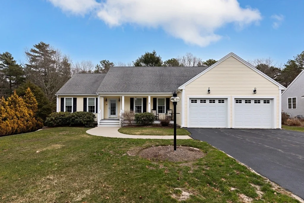 Photo of 40 Mirasol