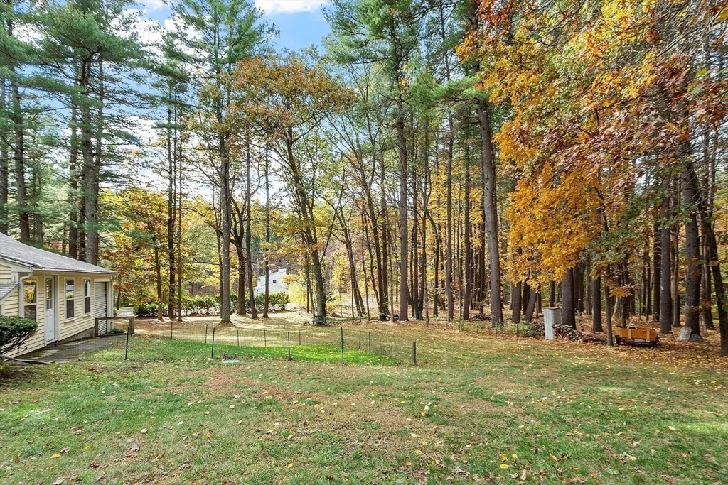 Photo of 265 College Rd