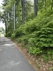 Photo of 32 Spring