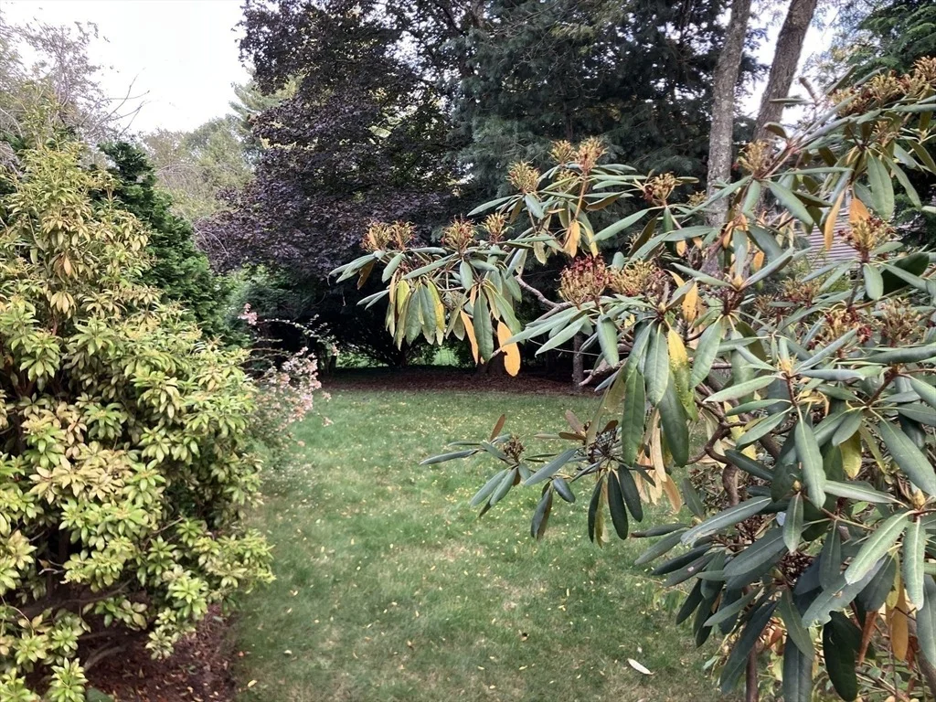 Photo of 3 Glenoe Rd