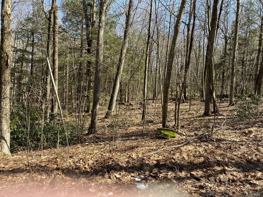Photo of Lt 55 Wendell Rd