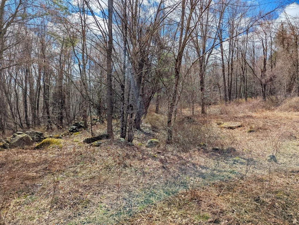 Photo of Lot 33.03 William Holmes Rd