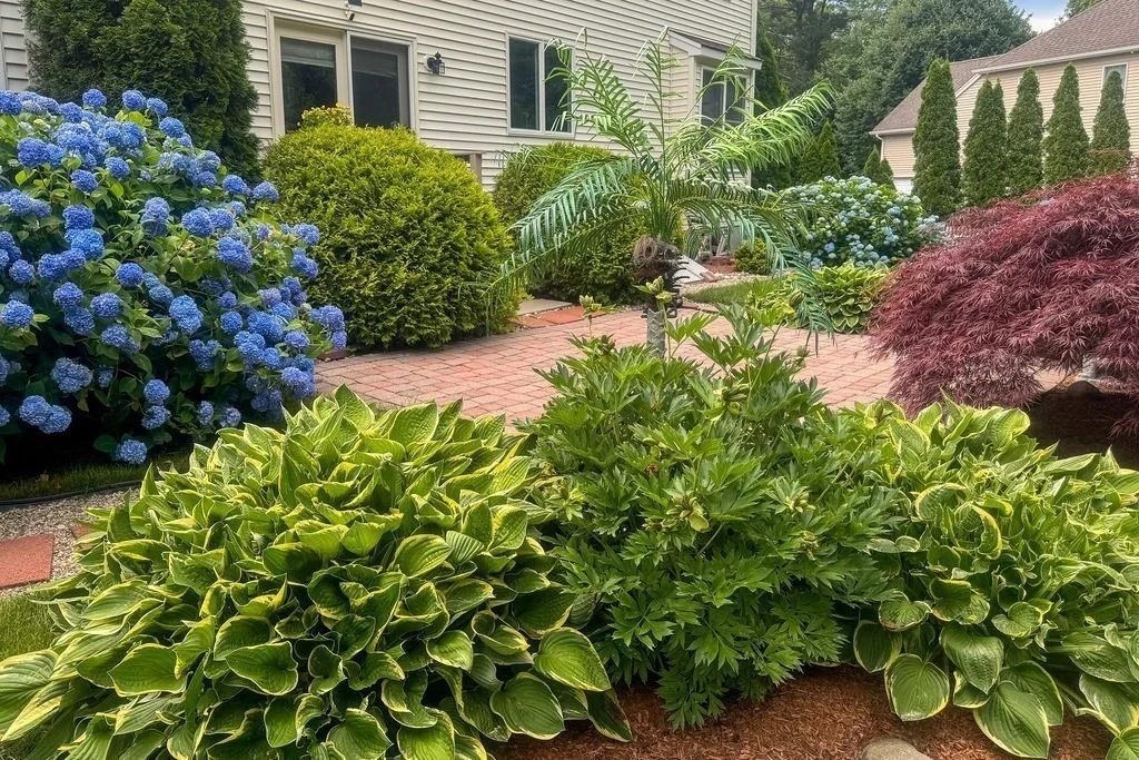Photo of 30 Hancock Rd