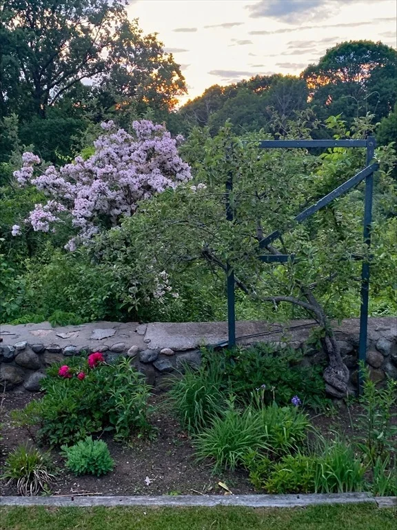 Photo of 62 Longview Drive