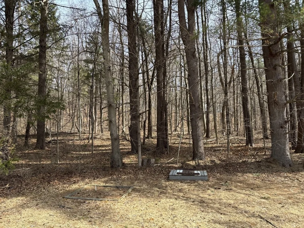 Photo of 45 Hickory Ln