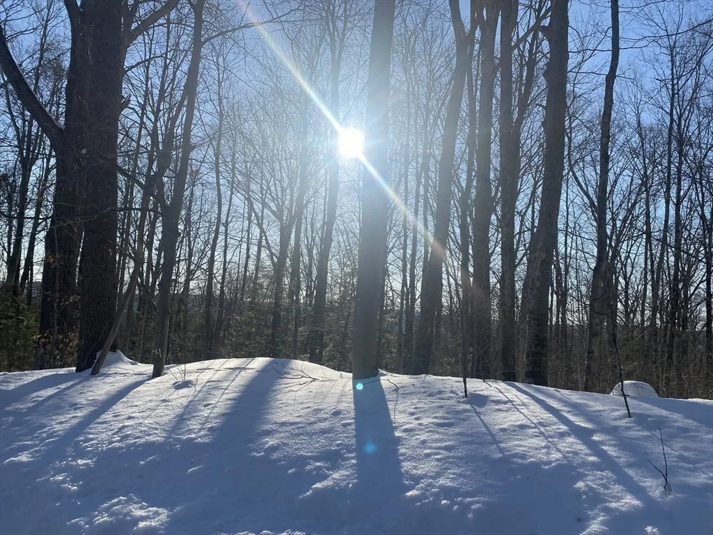 Photo of Lot 15 Colebrook River Rd