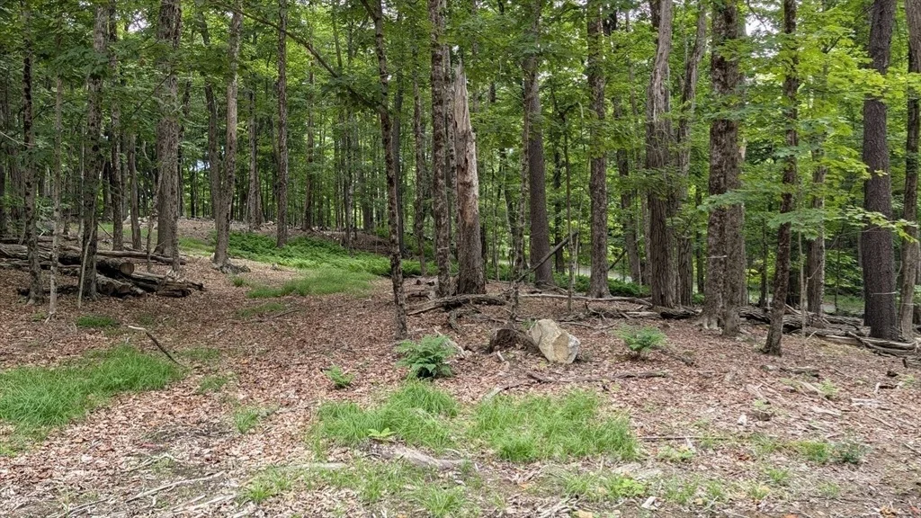 Photo of 951 West Rd