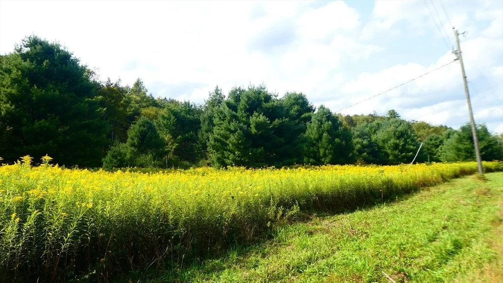 Photo of 155 River Rd