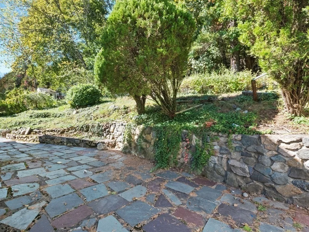 Photo of 14 Willard Street