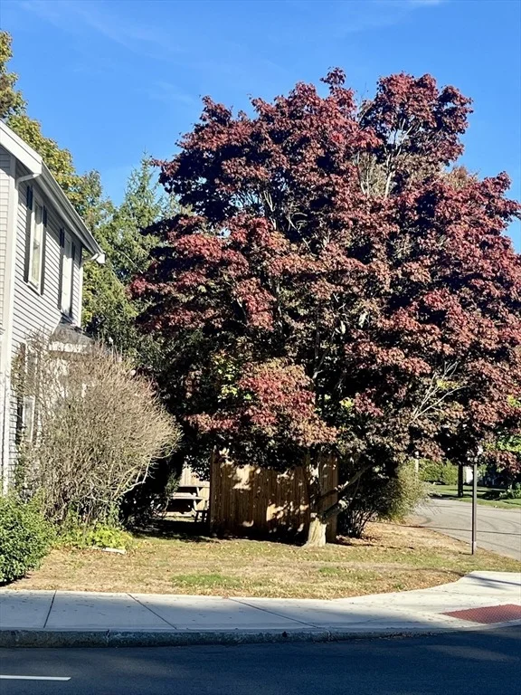 Photo of 556 Webster Street