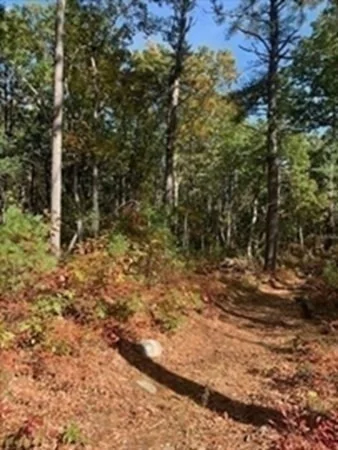 Photo of 115 Quarry Road