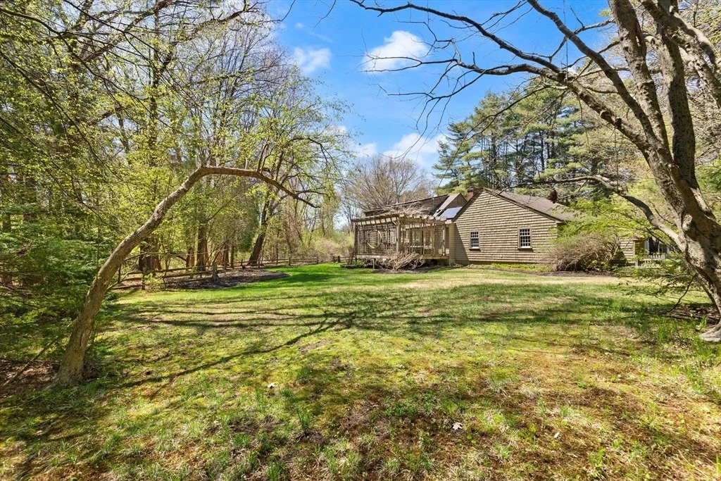 Photo of 11 Hemlock
