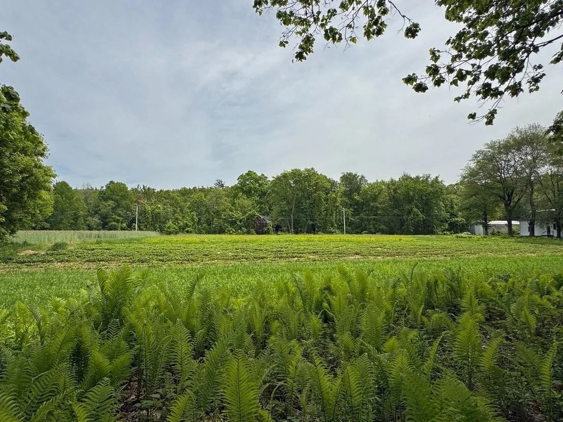 Photo of 0 Meadow Road