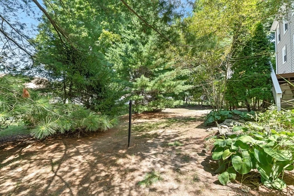 Photo of 84 Derby St