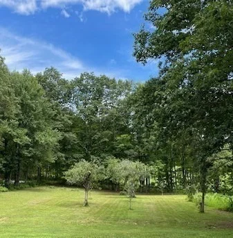 Photo of 29 Tomlinson Rd
