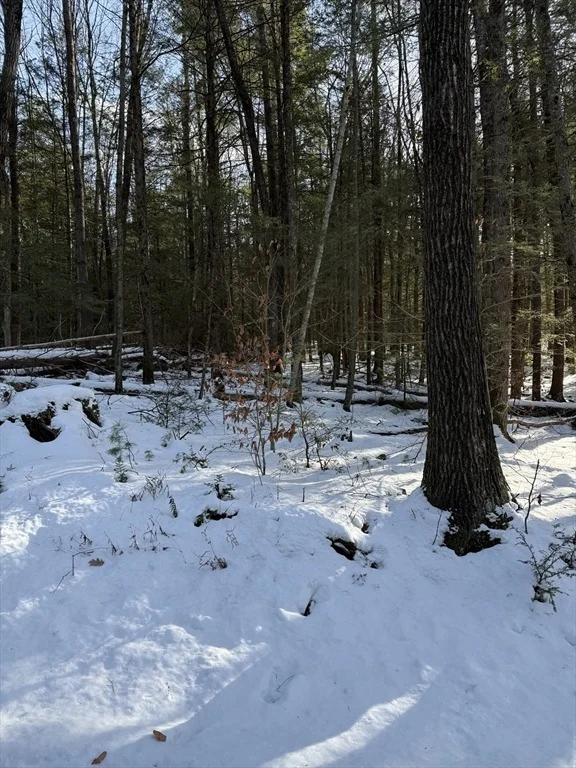 Photo of 0 Four Mile Brook Rd