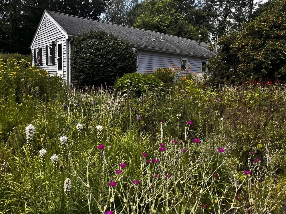 Photo of 25 Valley Road