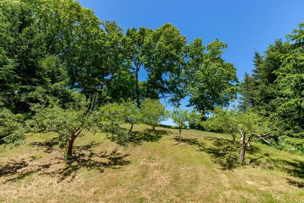 Photo of 8 Heartbreak Hill