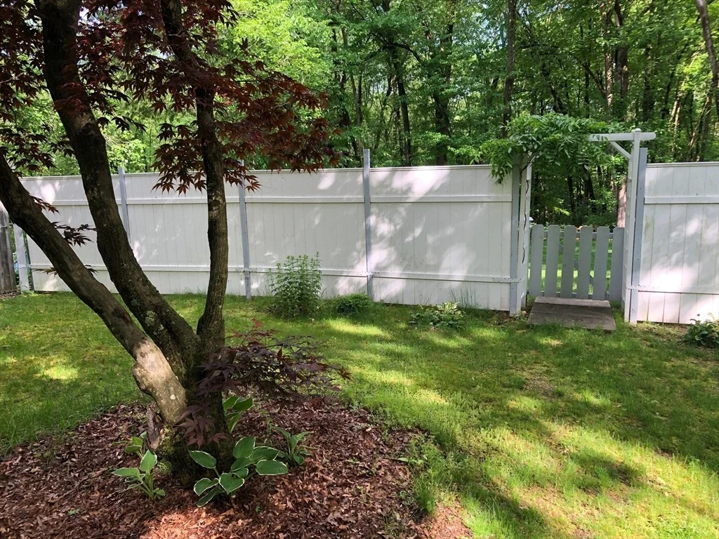 Photo of 76 Hardy St
