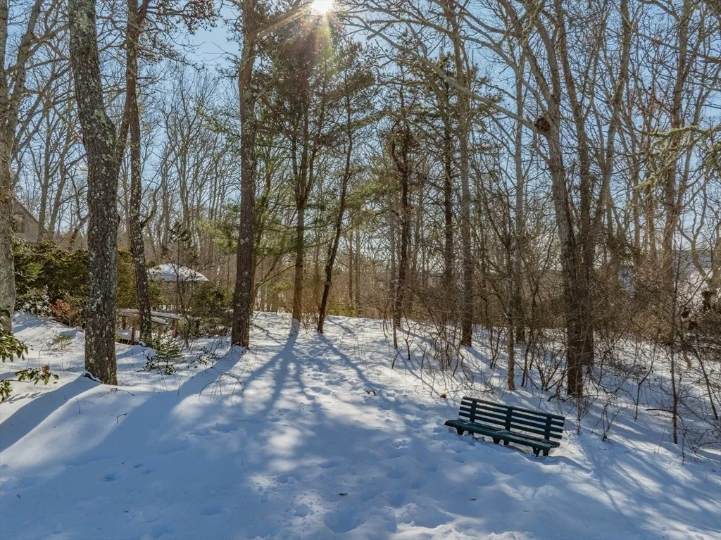 Photo of 39 Spruce Run Dr