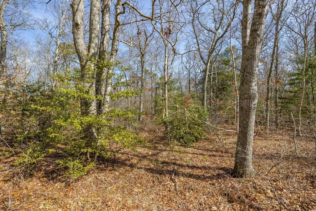Photo of 39 John Ewer Road