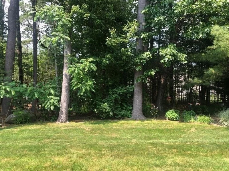 Photo of Unit 124 at 124 High Pine Circle