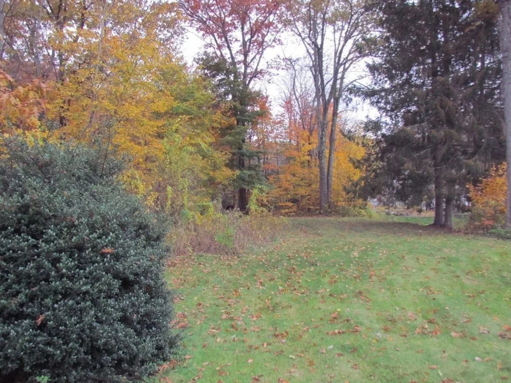 Photo of 135 Temple Street