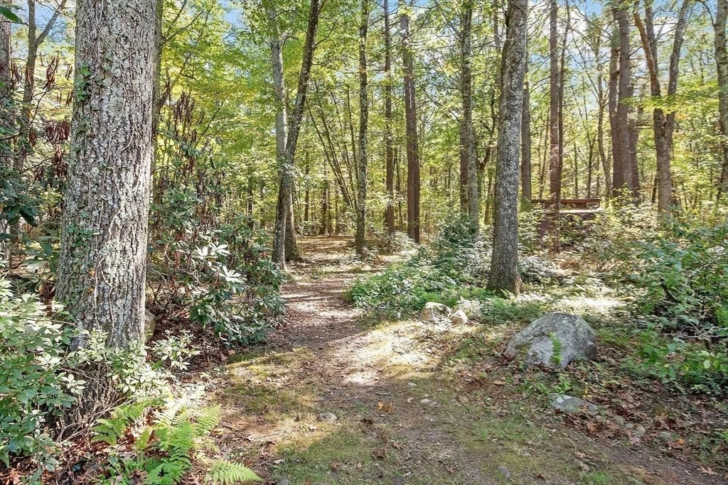 Photo of 11 Horseshoe Dr