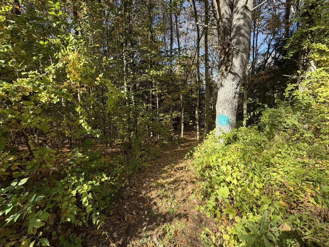 Photo of 232 River Rd