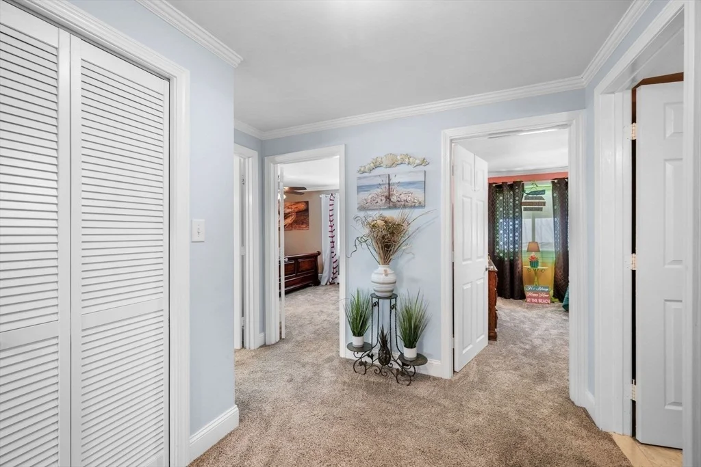 Photo of 42 Walnut St