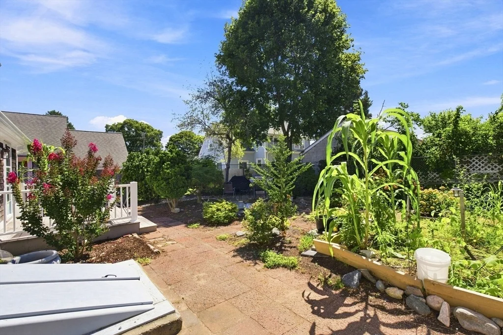 Photo of 35 Walnut St